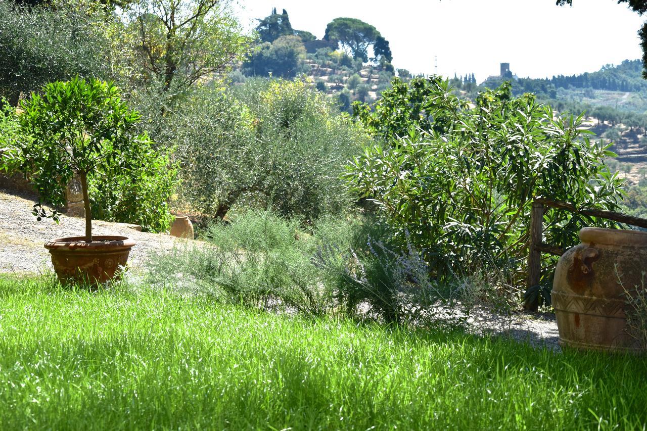 San Martino in Freddana Palazzina Del Chiasso B&B 외부 사진