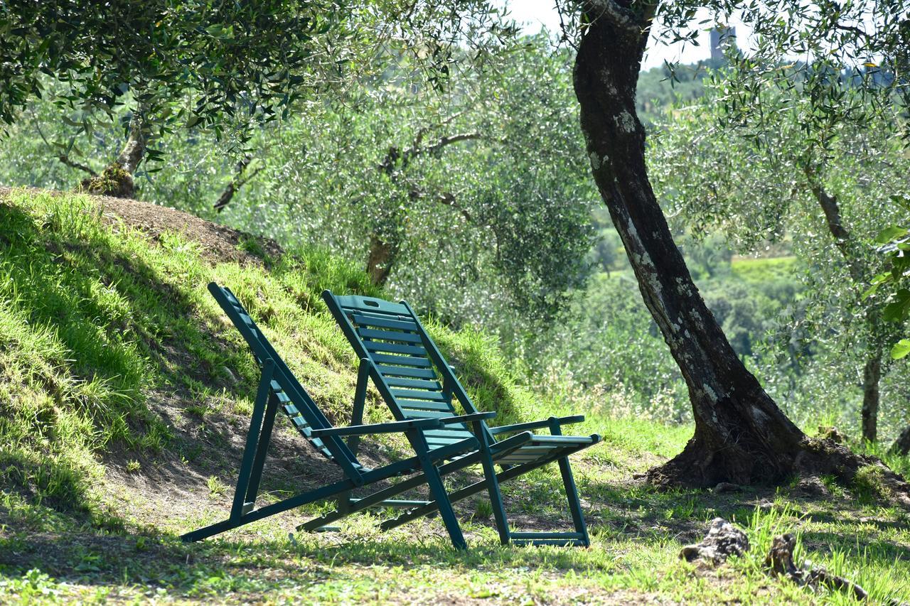 San Martino in Freddana Palazzina Del Chiasso B&B 외부 사진
