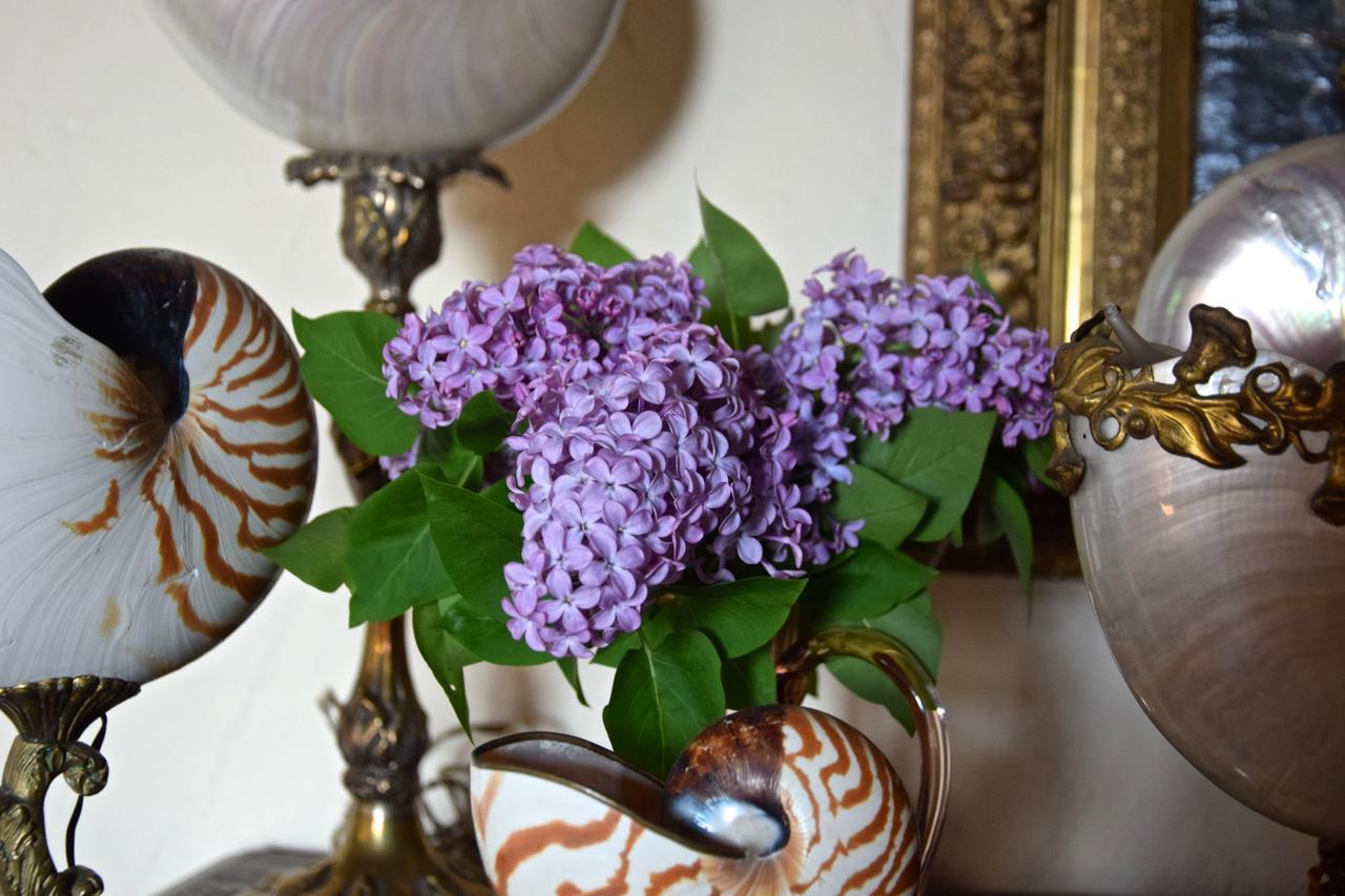 San Martino in Freddana Palazzina Del Chiasso B&B 외부 사진