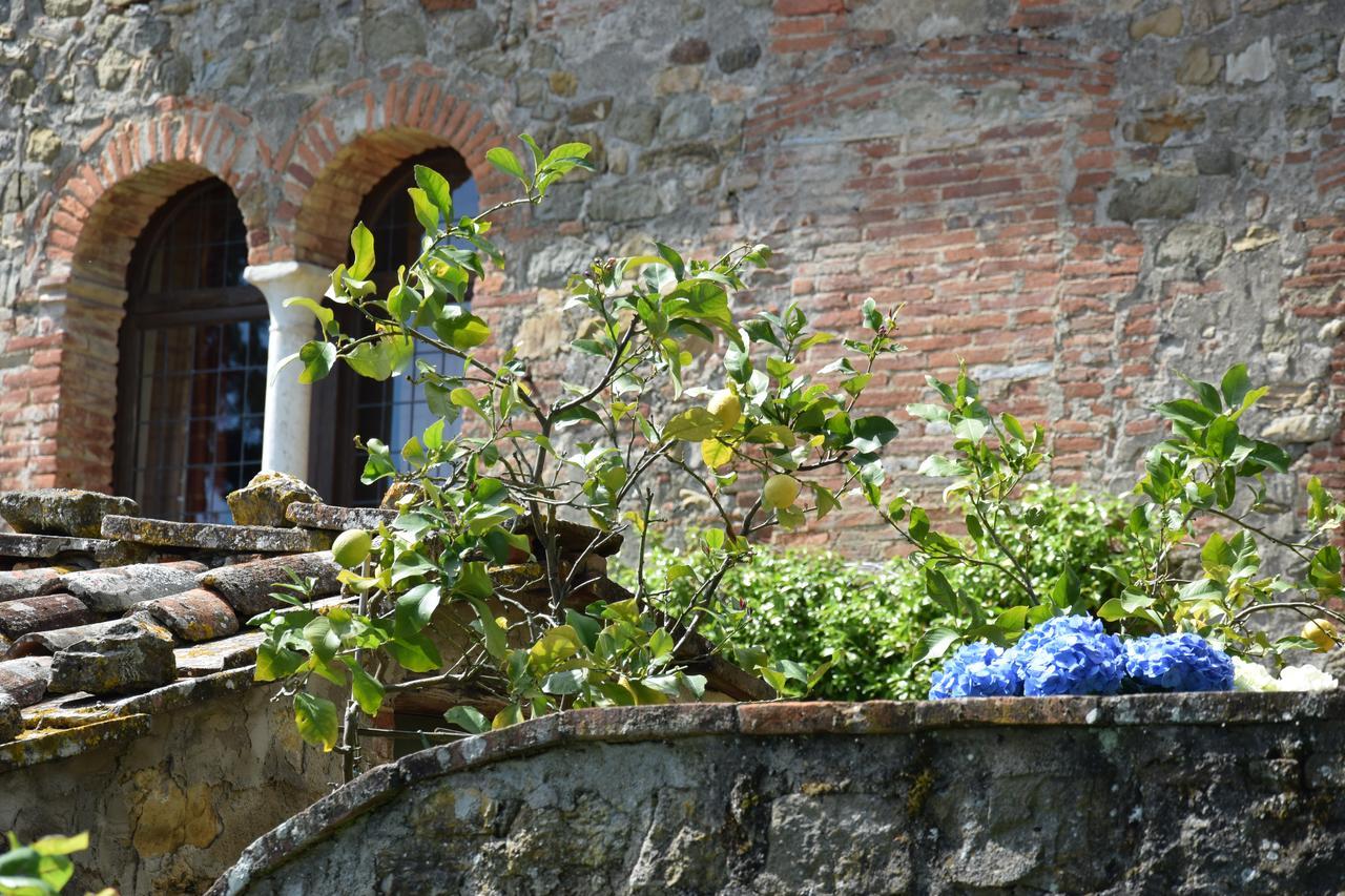 San Martino in Freddana Palazzina Del Chiasso B&B 외부 사진
