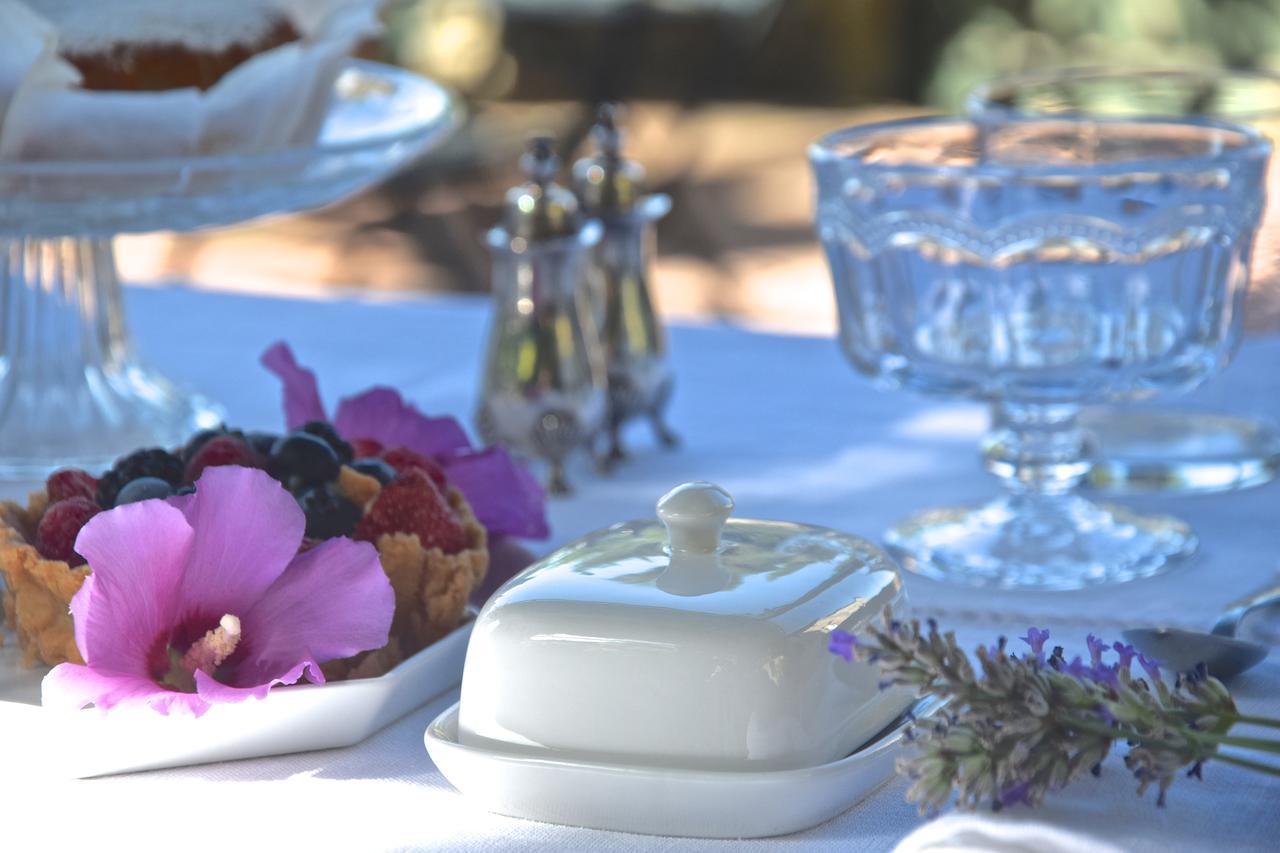 San Martino in Freddana Palazzina Del Chiasso B&B 외부 사진